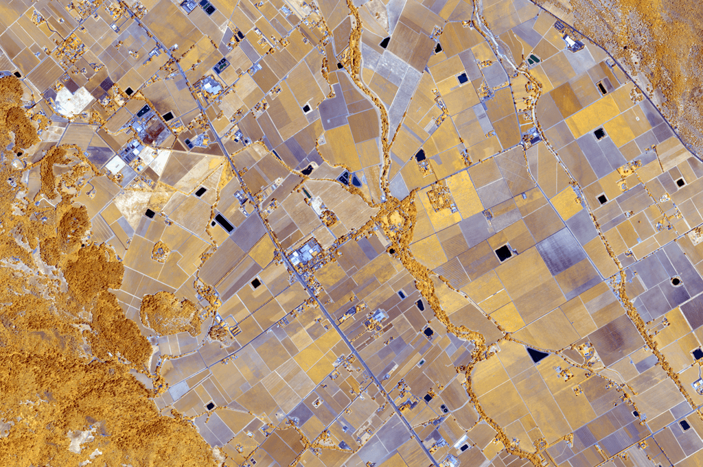 False-color satellite view of farmland