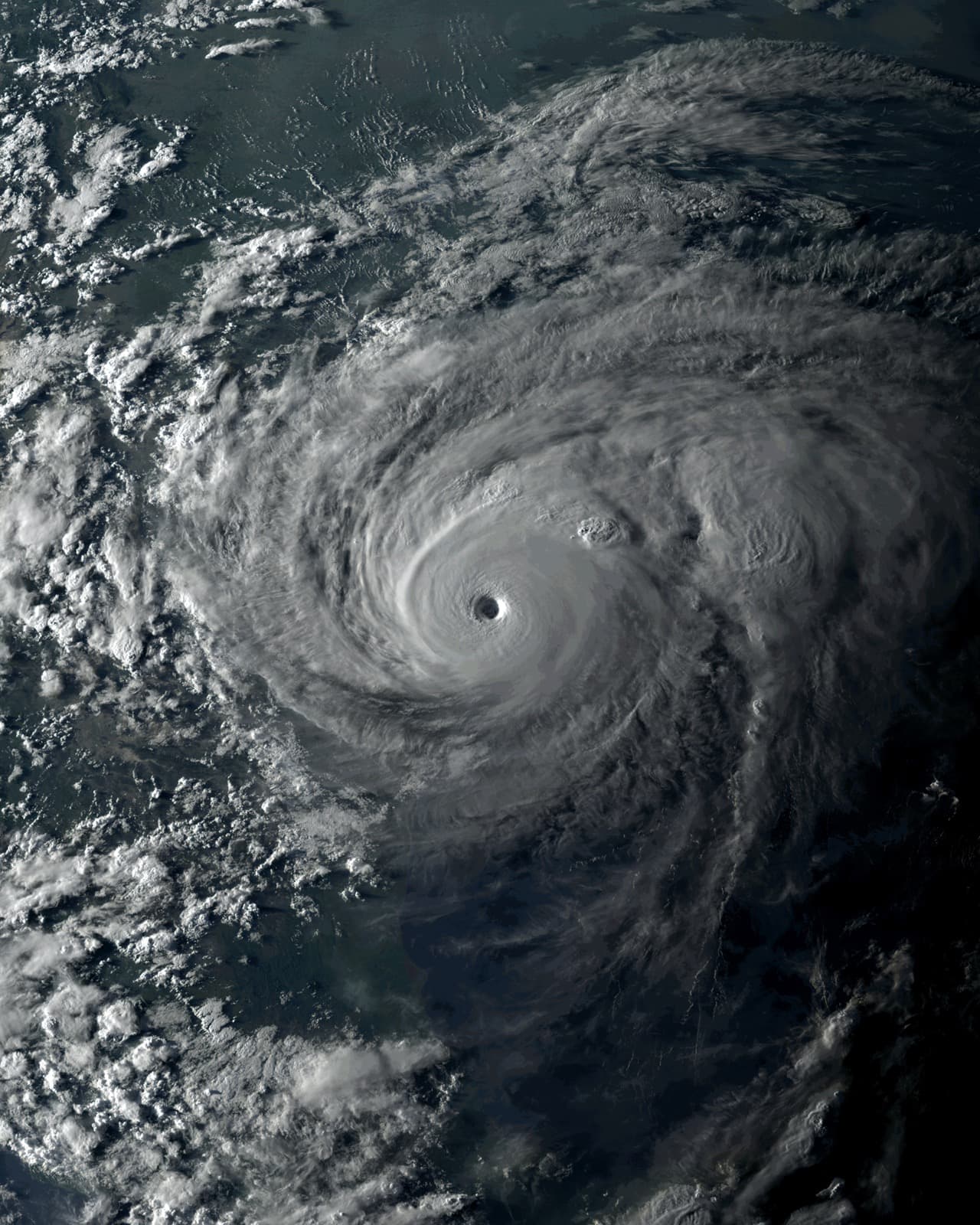 Hurricane Harvey seen from satellite